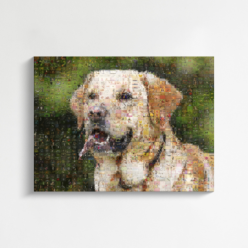 Erstelle dein individuelles Hunde-Fotomosaik – personalisiertes Geschenk